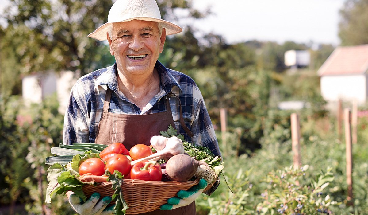 Inovações Tecnológicas Revolucionam o Agronegócio Brasileiro