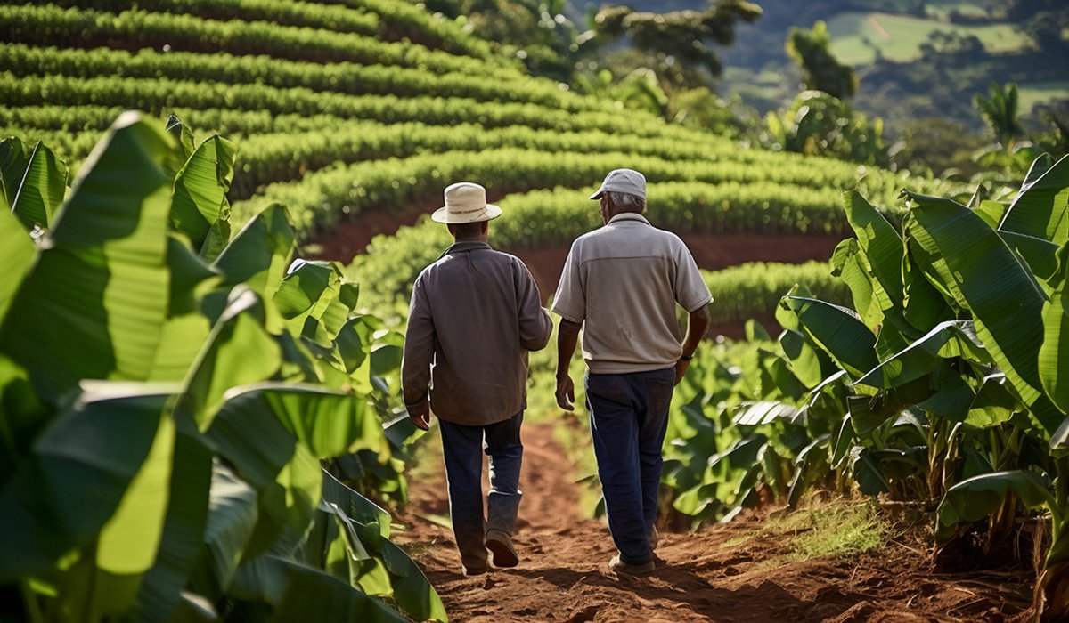 Agronegócio e Sustentabilidade: Cultivando o Futuro de Forma Responsável