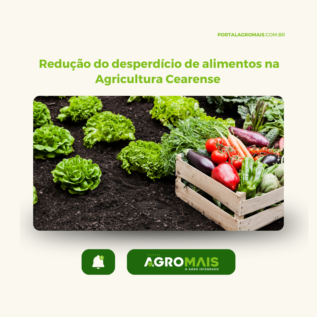 Redução do Desperdício de Alimentos: Um Desafio e Uma Oportunidade para a Agricultura Cearense