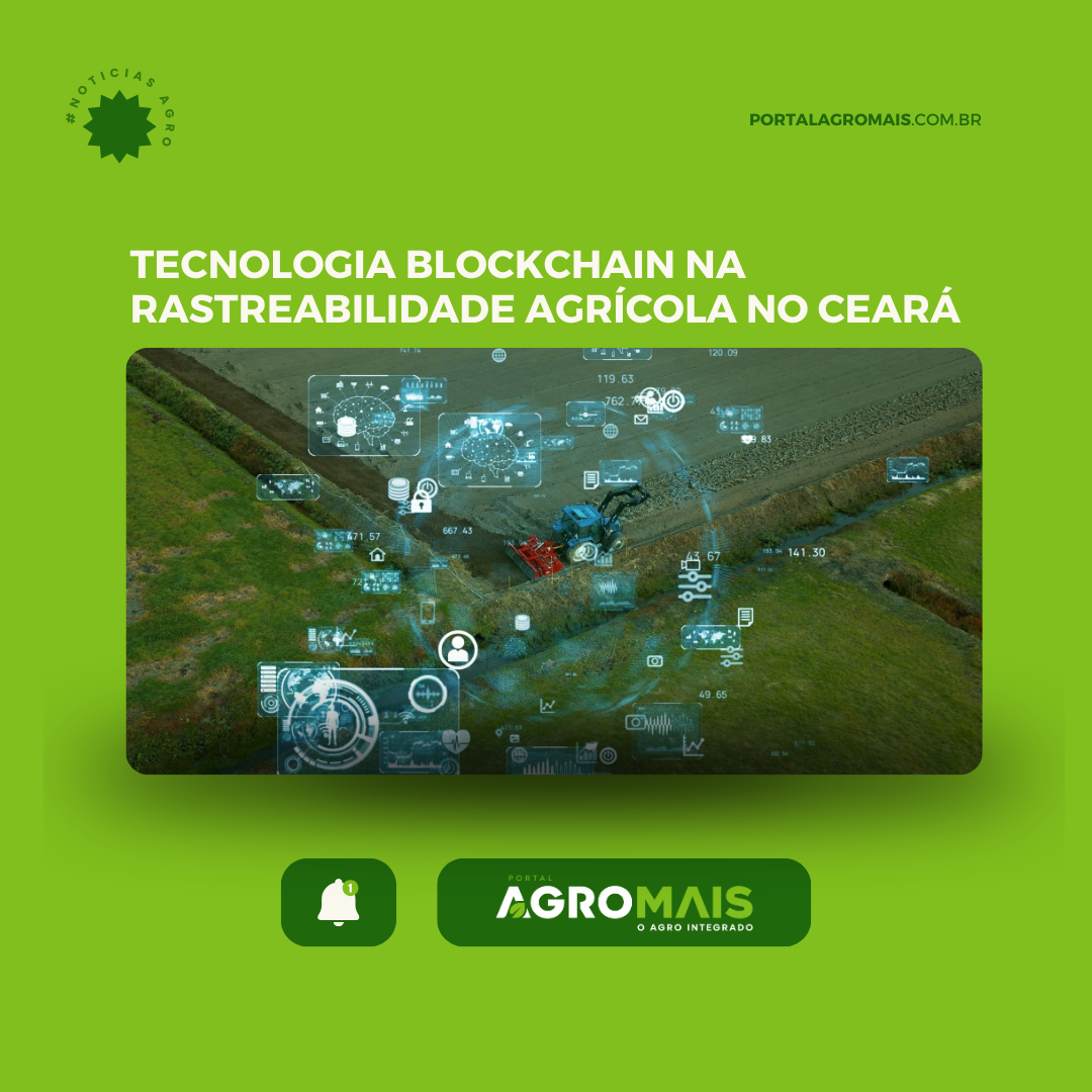 Tecnologia Blockchain na Rastreabilidade de Produtos Agrícolas no Ceará