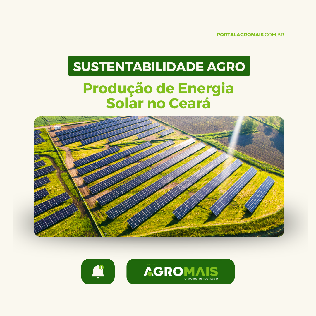 Produção de Energia Solar em Propriedades Rurais do Ceará Contribui para a Sustentabilidade