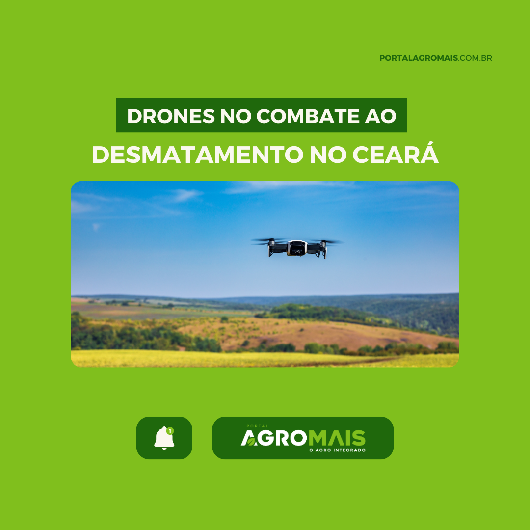 Tecnologia de Drones é Utilizada para Monitorar o Desmatamento no Ceará