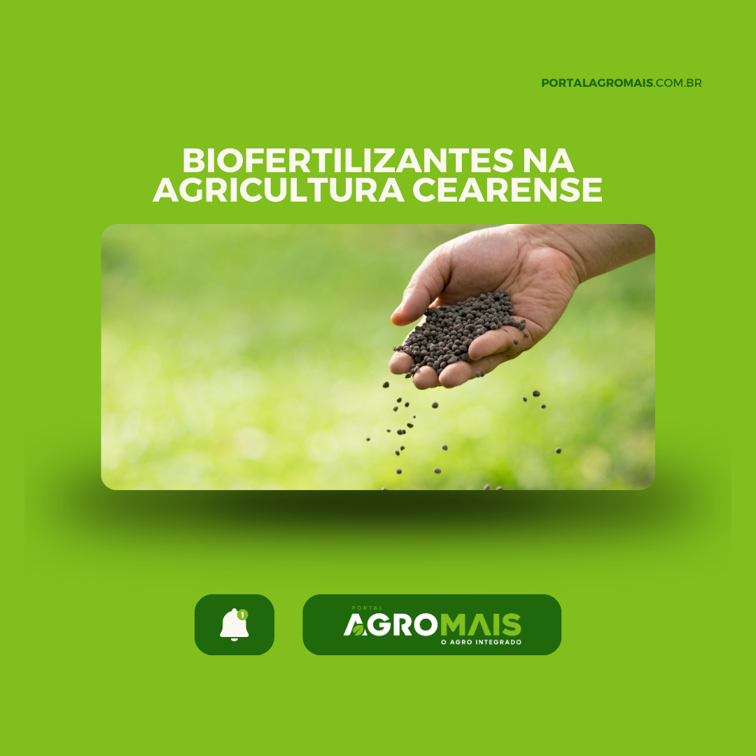 Uso de Biofertilizantes na Agricultura Cearense Promove a Sustentabilidade Ambiental