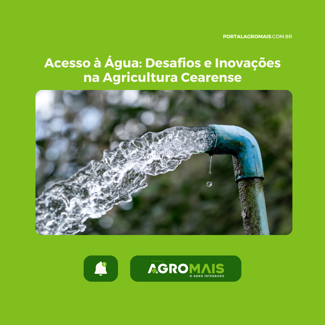 Acesso à Água: Desafios e Inovações na Agricultura Cearense