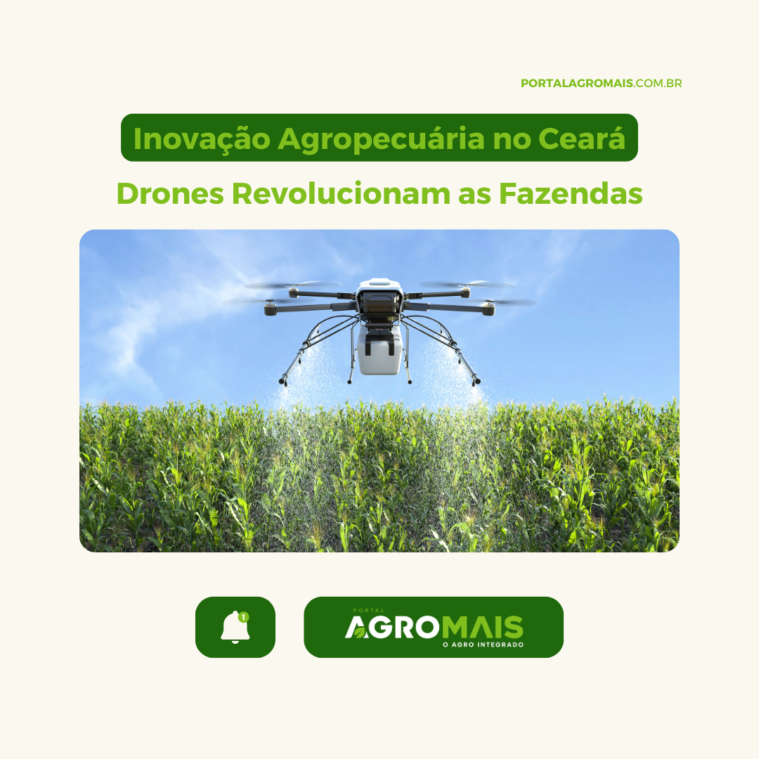 Inovação Agropecuária no Ceará: Drones Revolucionam a Gestão de Fazendas