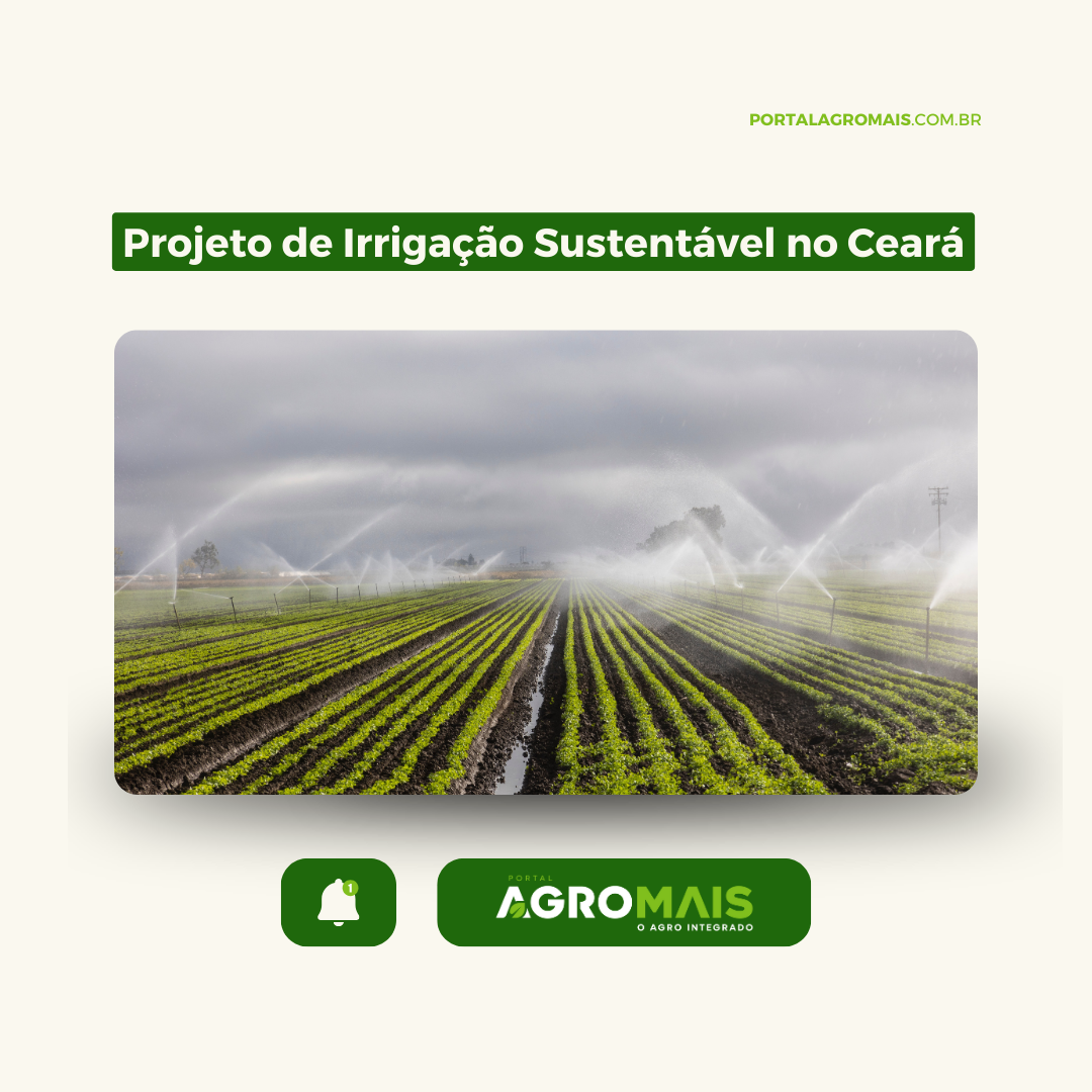 Projeto de Irrigação Sustentável é Implementado em Comunidades Rurais do Ceará