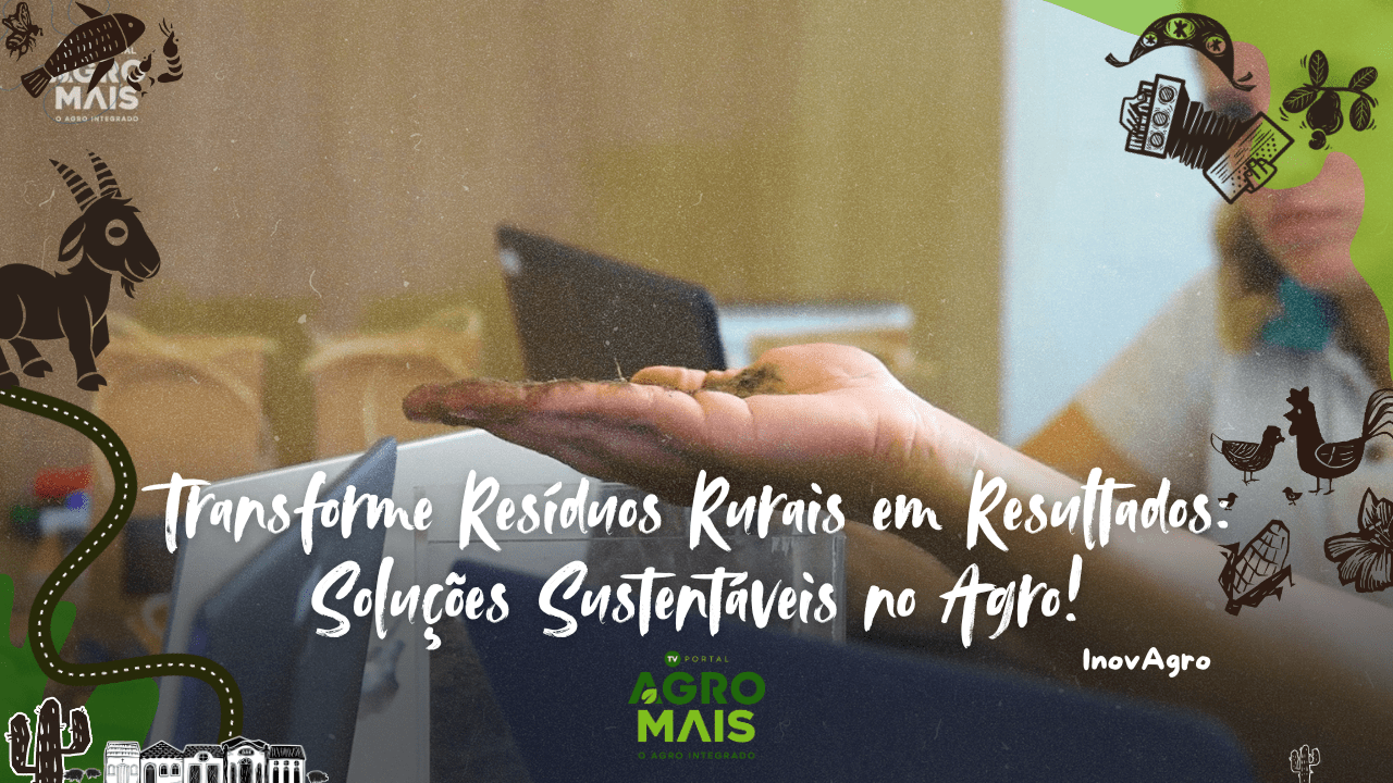 Compostagem transforma resíduos rurais em adubo e energia limpa