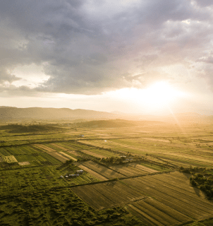 Brasil fortalece posição no agro com vocação agrícola histórica