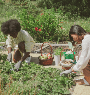 Mulheres liderando atividades agrícolas no Brasil
