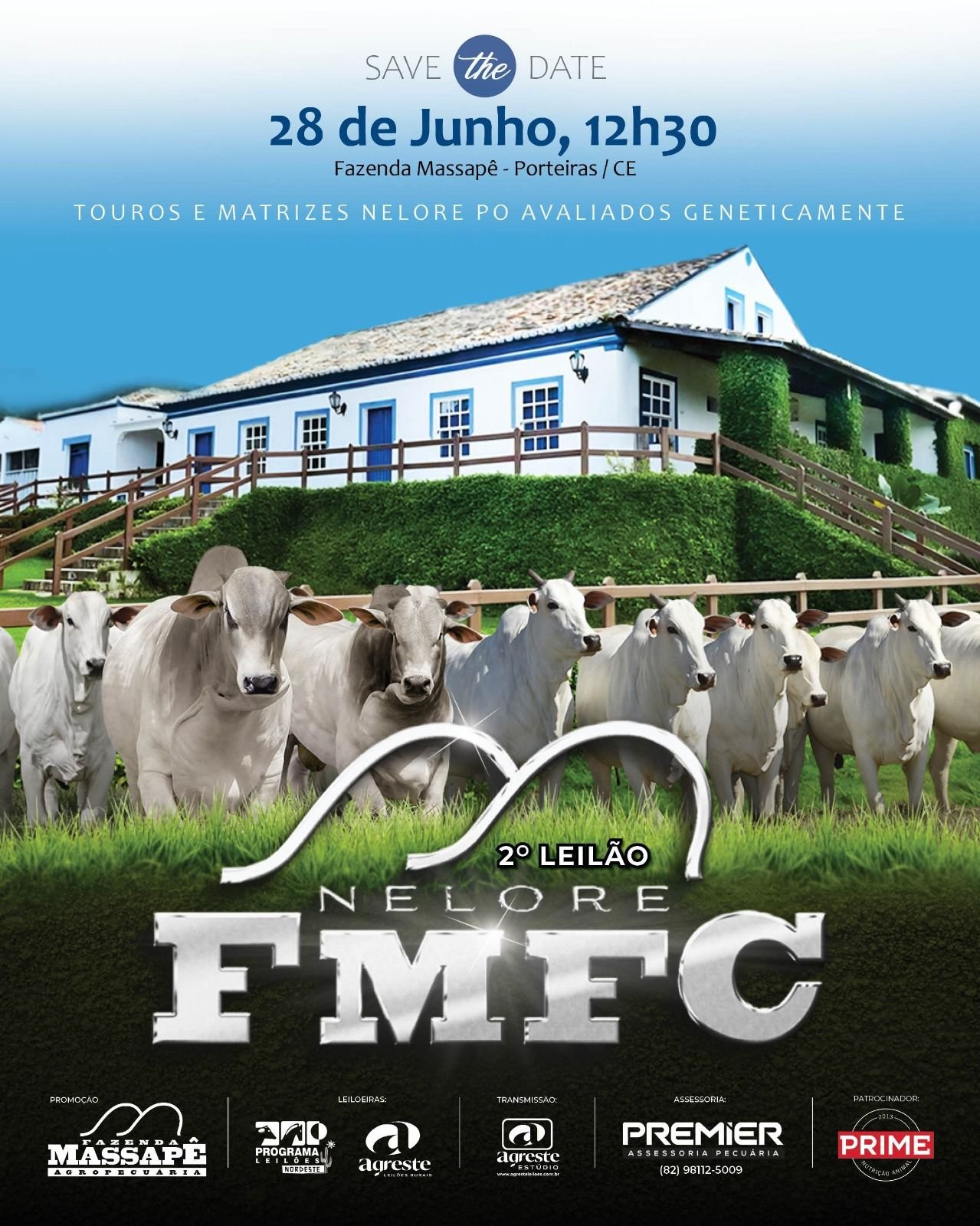  Touros e matrizes Nelore PO com RGD no 2º Leilão FMFC em Porteiras – CE