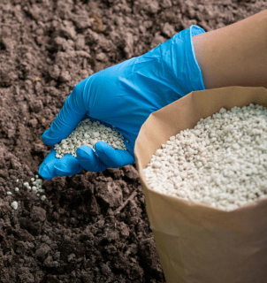 Conflito entre Irã e Israel pressiona mercado global de fertilizantes