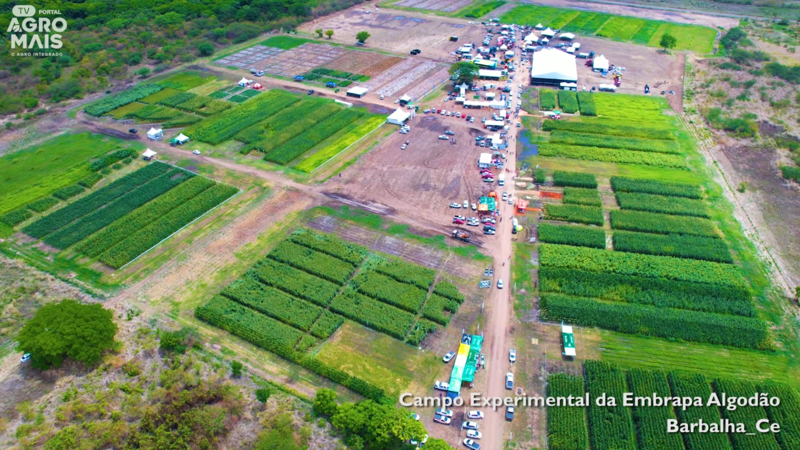 Feira Expocariri em Barbalha reúne produtores e tecnologias