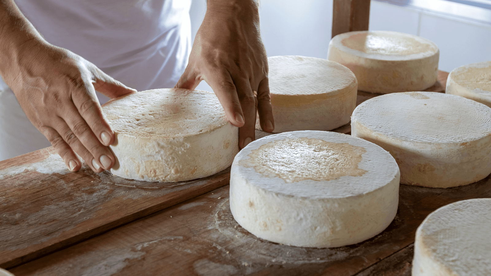 Produtores artesanais do Ceará no Festival Nacional de Queijos 2025