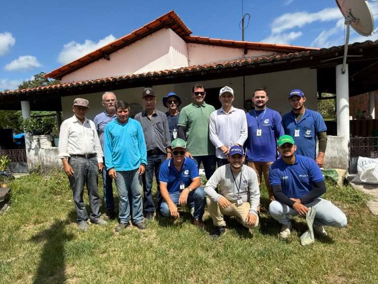Agricultores em área produtiva de mandioca em Mauriti