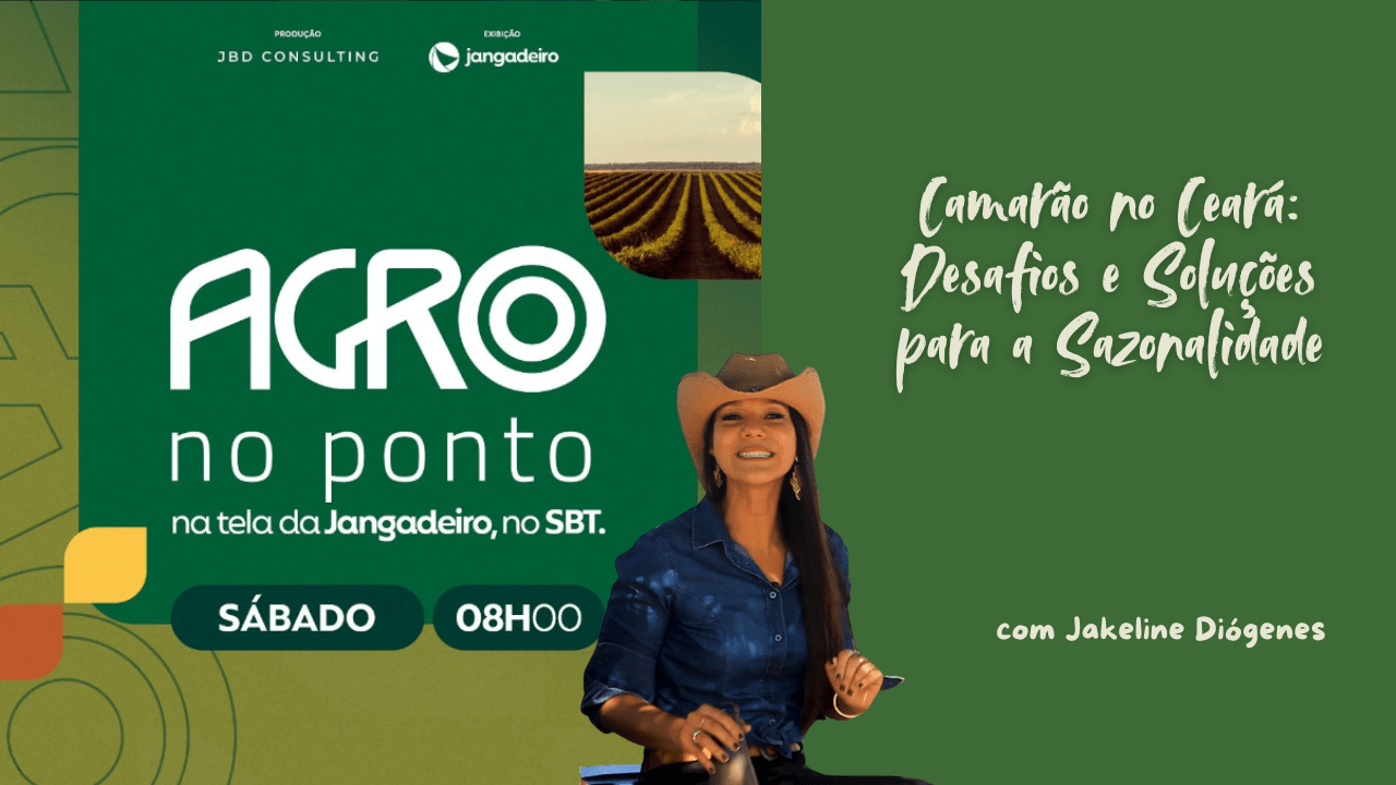 Produtor aplica manejo eficiente para superar a sazonalidade do camarão