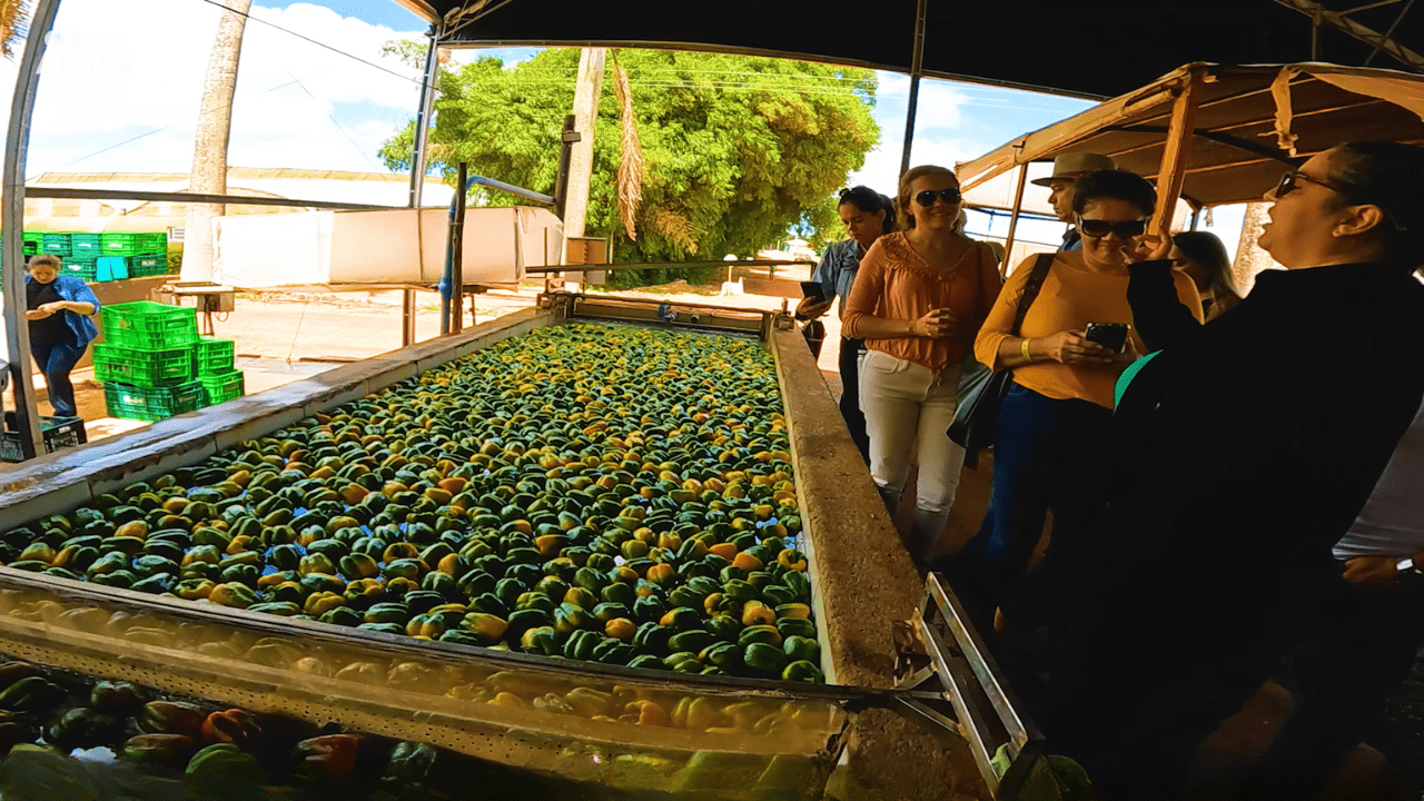 Empresários conhecem tecnologias e práticas sustentáveis que fortalecem o agro cearense