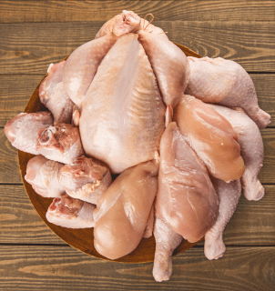 Brasil retoma exportação de carne de frango para Chile e Arábia Saudita após fim do embargo