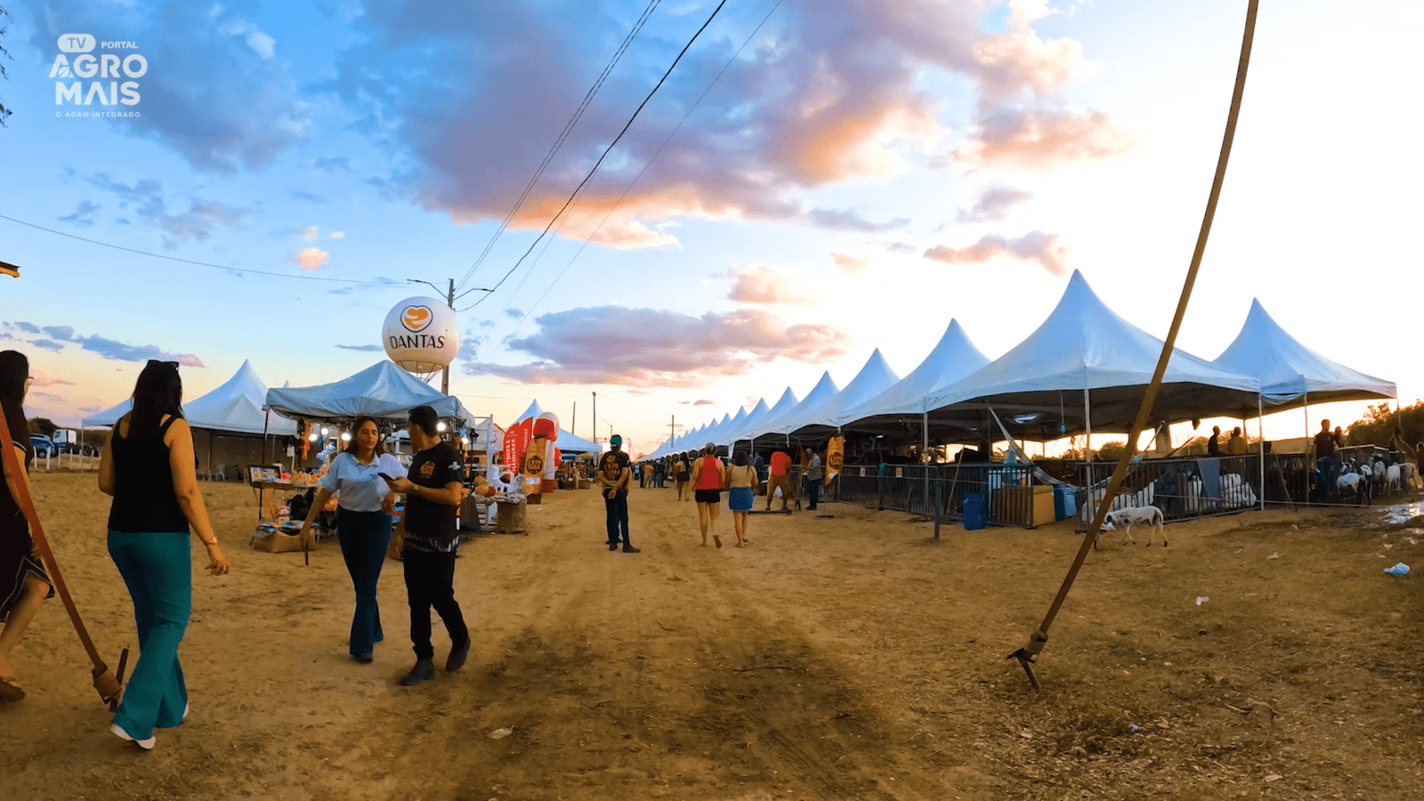 Feira Expotama 2025 movimenta o Vale do Jaguaribe