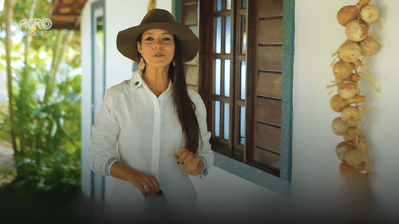 Flores e mel do Ceará impulsionam o turismo e a economia