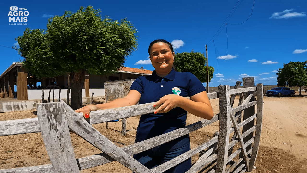 JP Lácteos em Jaguaretama transforma leite sertanejo em produtos de qualidade.