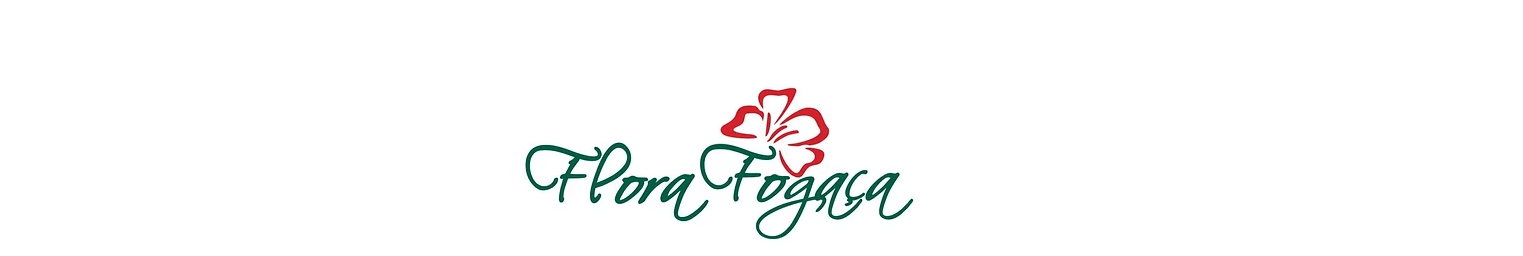 Flora Fogaça: produção de flores no Ceará | Patrocinadores | Portal AgroMais