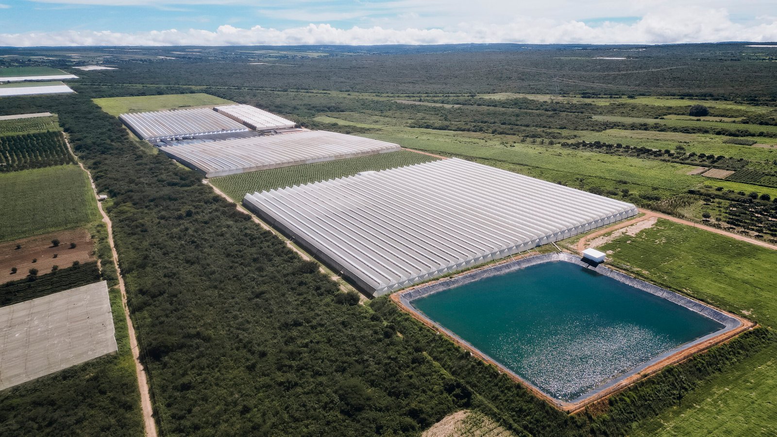 /patrocinadores/fazenda-santo-expedito