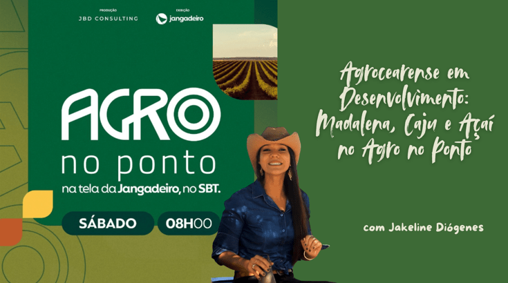 Manejo tecnificado e parceria local impulsionam o agrocearense em desenvolvimento em Madalena.