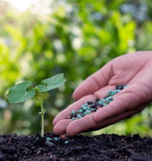 Projeções mostram crescimento da demanda por fertilizantes até 2030