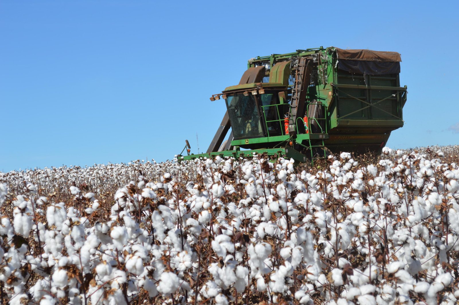 Equipe da Embrapa demonstra cultivos adaptados ao semiárido durante a ExpoCariri 2025
