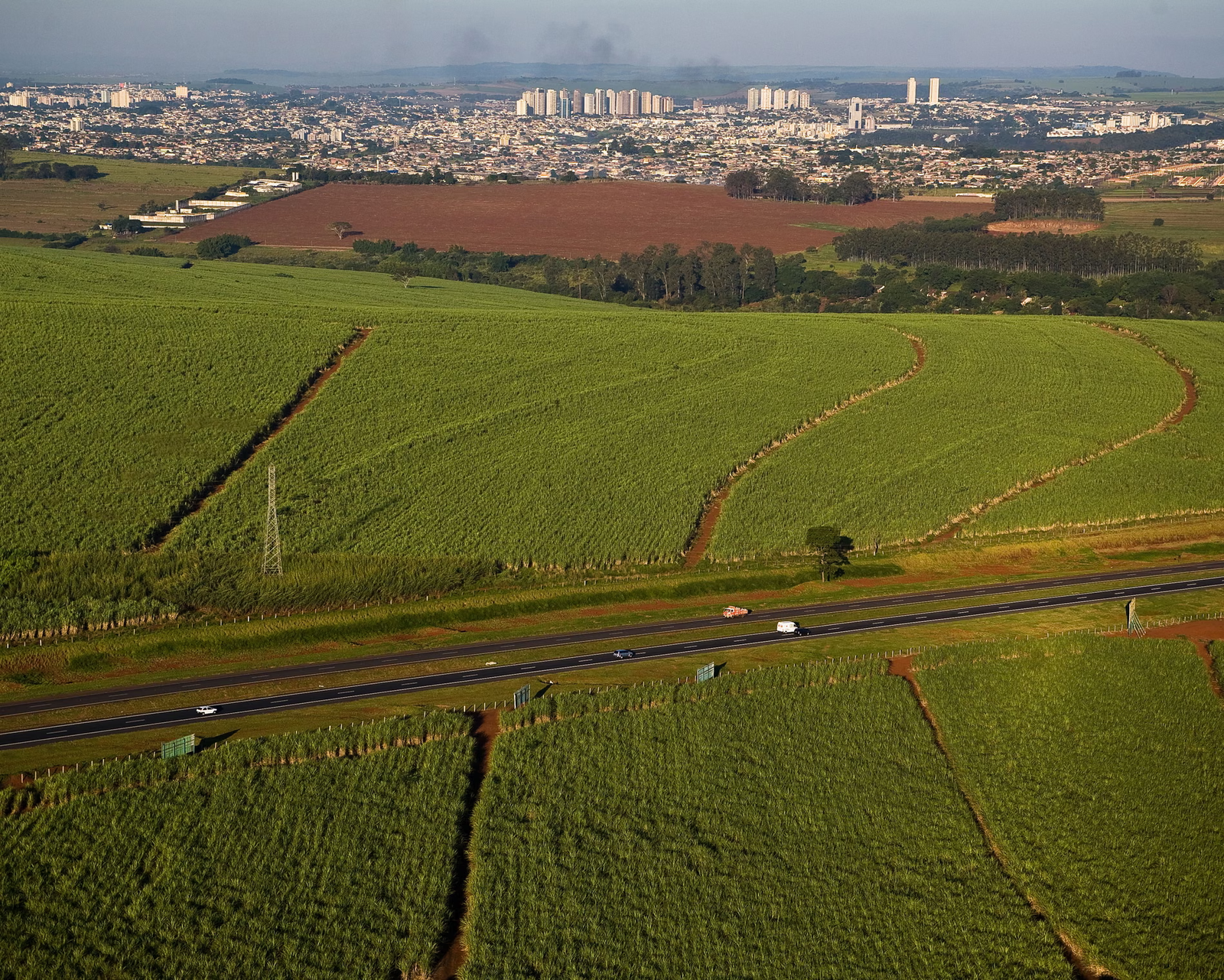 O Brasil avalia propor a ampliação global do uso de biocombustíveis durante a COP30, em Belém.