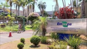 Embrapa Algodão mostra resultados de inovação agrícola durante a ExpoCariri 2025
