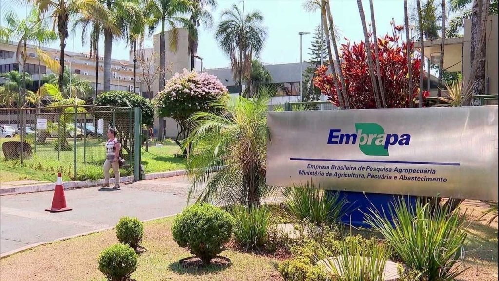 Embrapa Algodão mostra resultados de inovação agrícola durante a ExpoCariri 2025