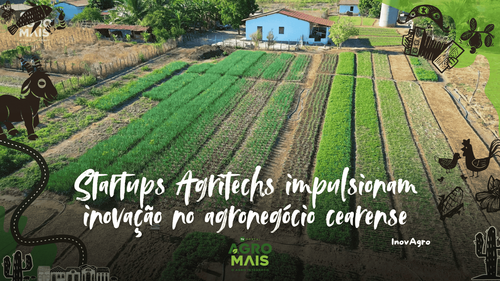 Participantes apresentam soluções inovadoras das startups Agritechs na Feira do Empreendedor em Fortaleza.