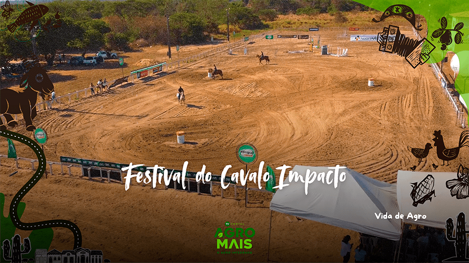 Cavalo participando do Festival do Cavalo
