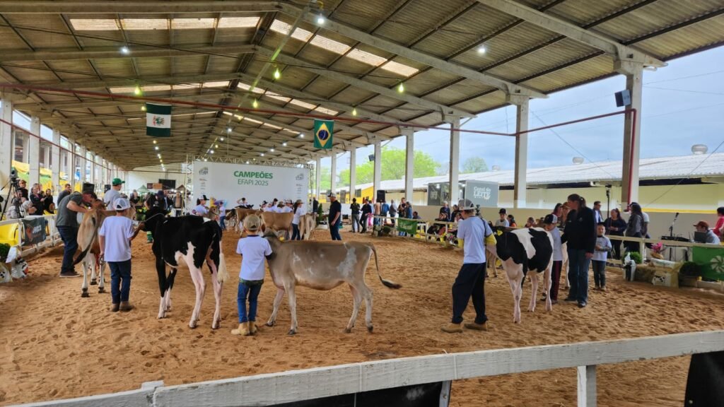 Expositores e visitantes participam da área de bovinos da Efapi do Brasil 2025, que destacou genética e inovação no campo.