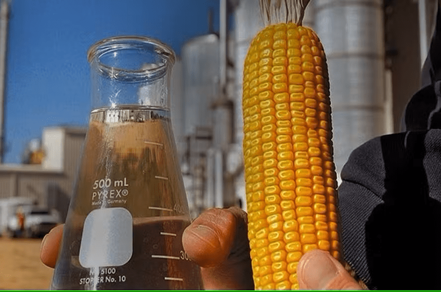 Usina de etanol de milho no Nordeste aumentando produção regional
