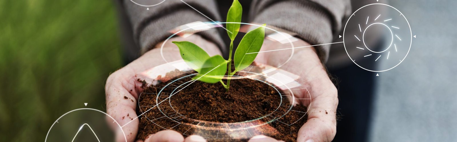 Agricultura regenerativa no Ceará