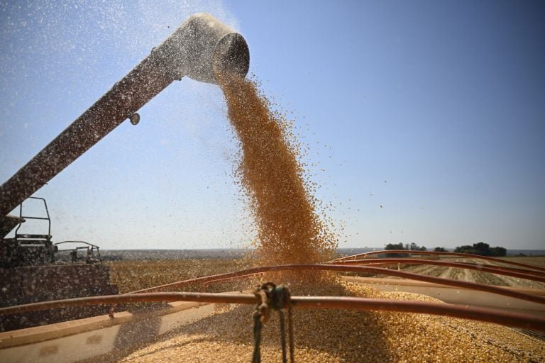O BAB realiza a primeira entrega física de contratos de derivativos agrícolas em 15 anos, movimentando 1.800 toneladas de milho em Rondonópolis (MT).