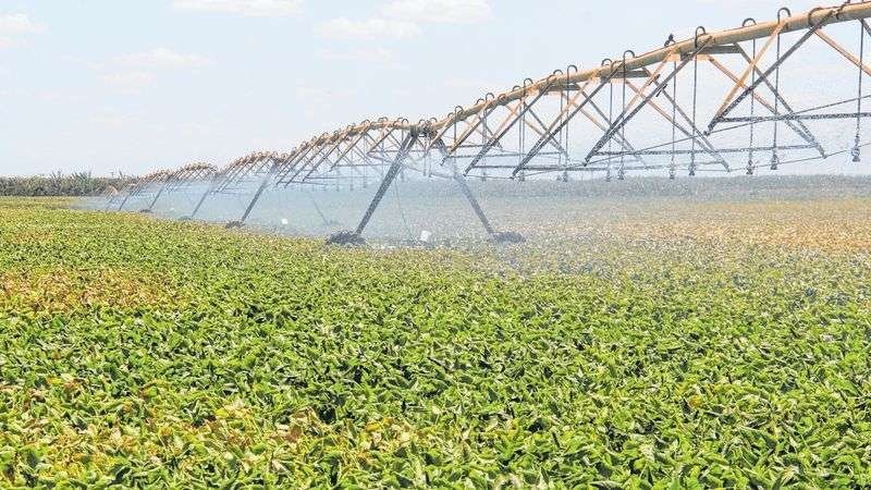 Expo Agro Vale do Jaguaribe encerra com novos negócios e parcerias.