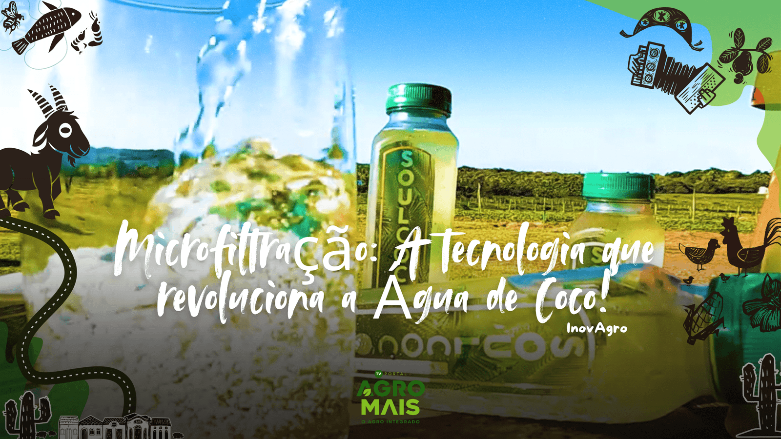 Embrapa e Sococo desenvolvem tecnologia de microfiltração que preserva o sabor natural da água de coco.