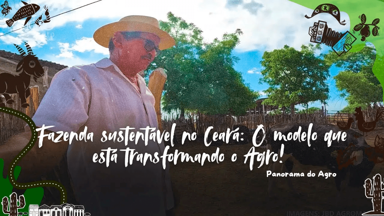 Fazenda Nogueira Lima é modelo de sustentabilidade e tecnologia no agro cearense.