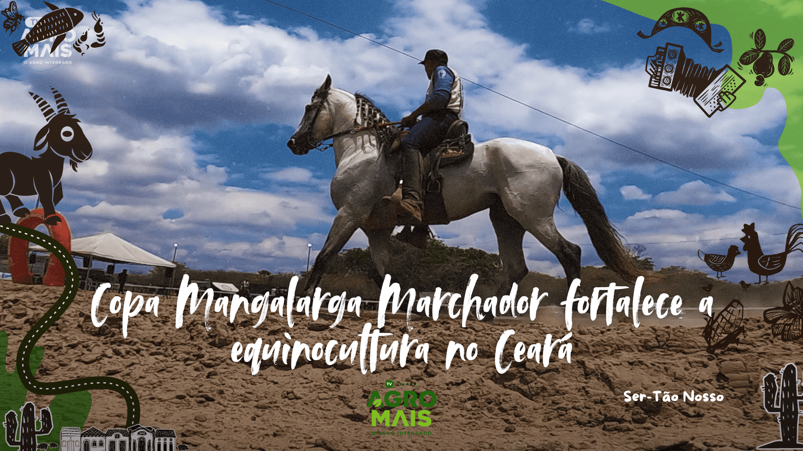 A Copa Mangalarga Marchador reuniu 83 animais e bateu recorde histórico de participação no Ceará.