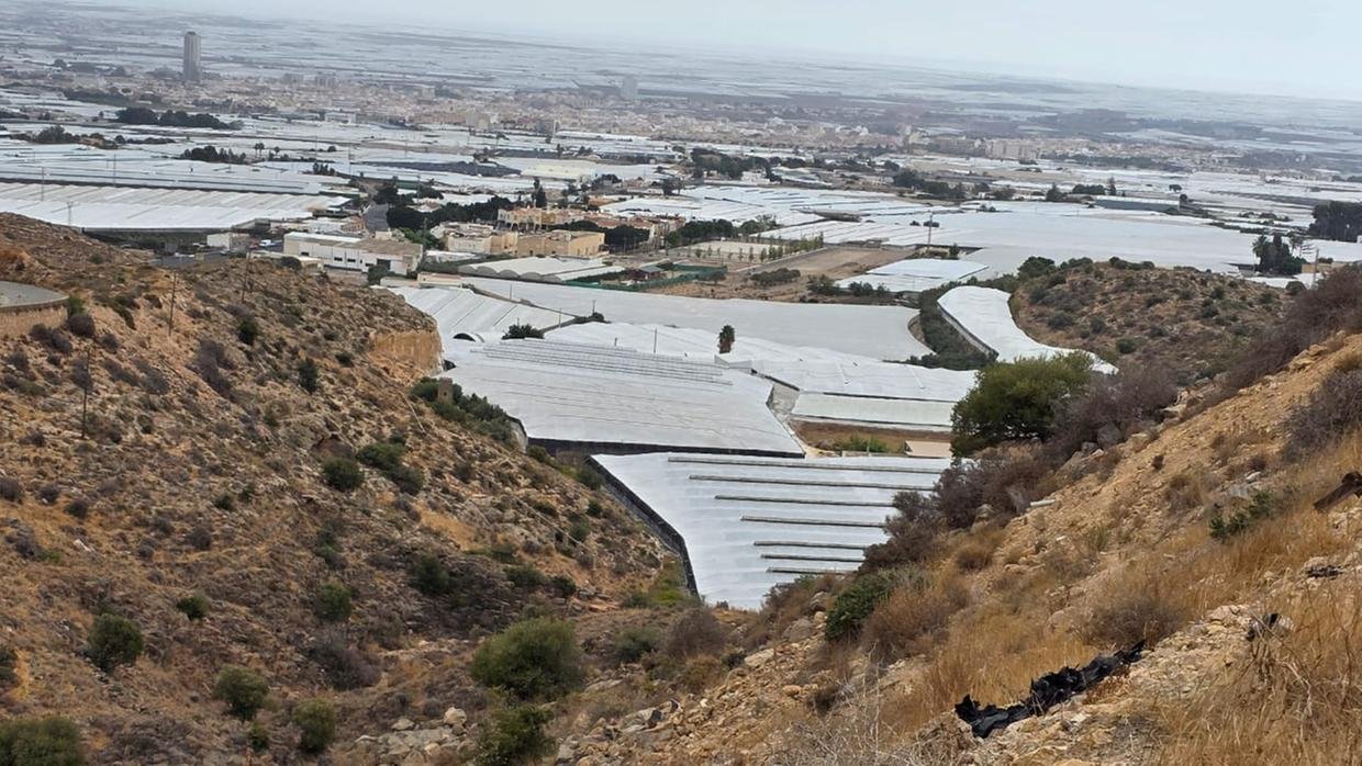 Faec, Abid e Senar em visitas técnicas pela Andaluzia e Califórnia durante as missões internacionais de 2026.