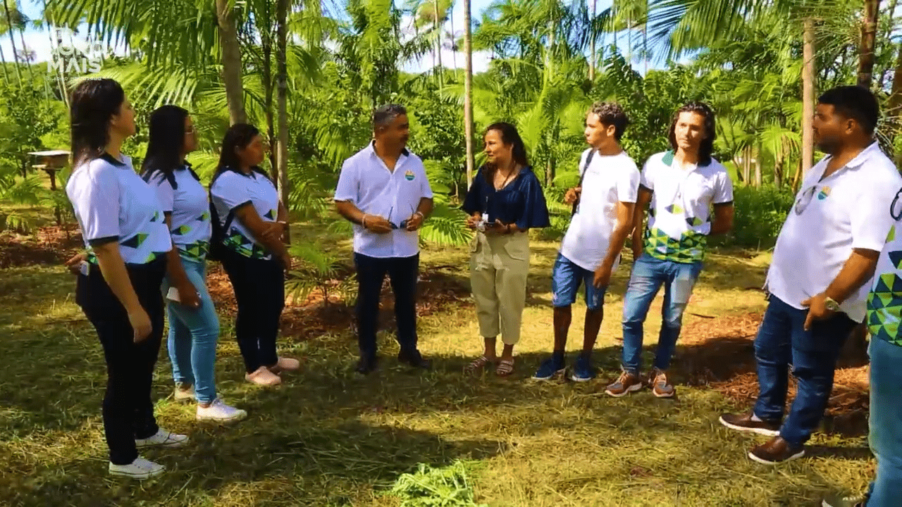 Açaí no Ceará avança com cultivar adaptado, assistência técnica e produção de mudas para ampliar resultados no campo.