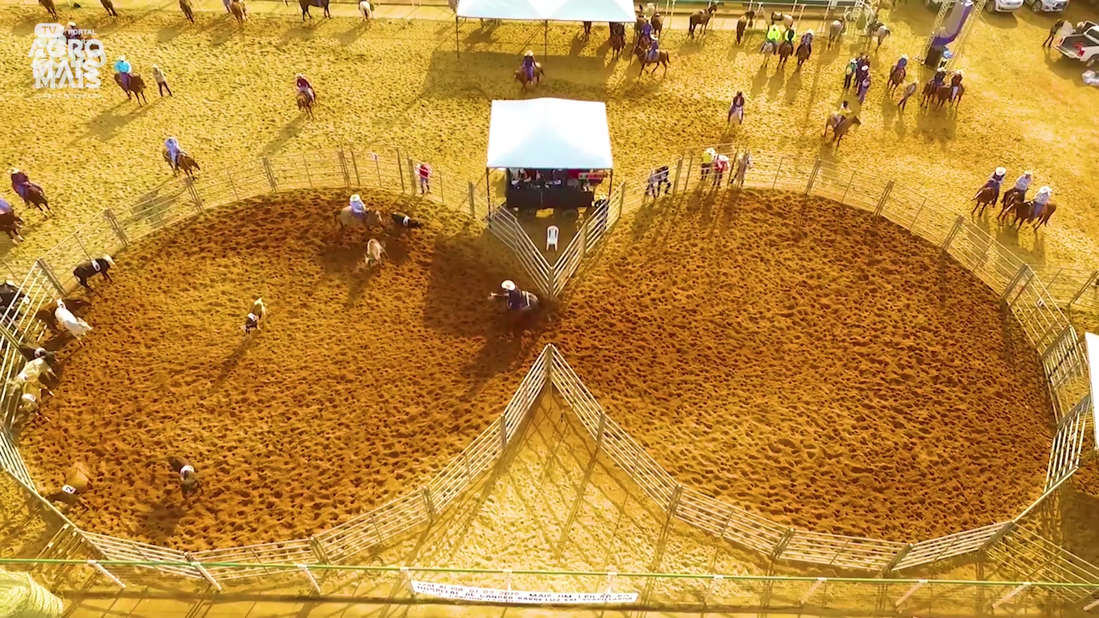 Empreendedorismo na equinocultura reúne lazer, esporte e gestão para fortalecer o mercado do cavalo.