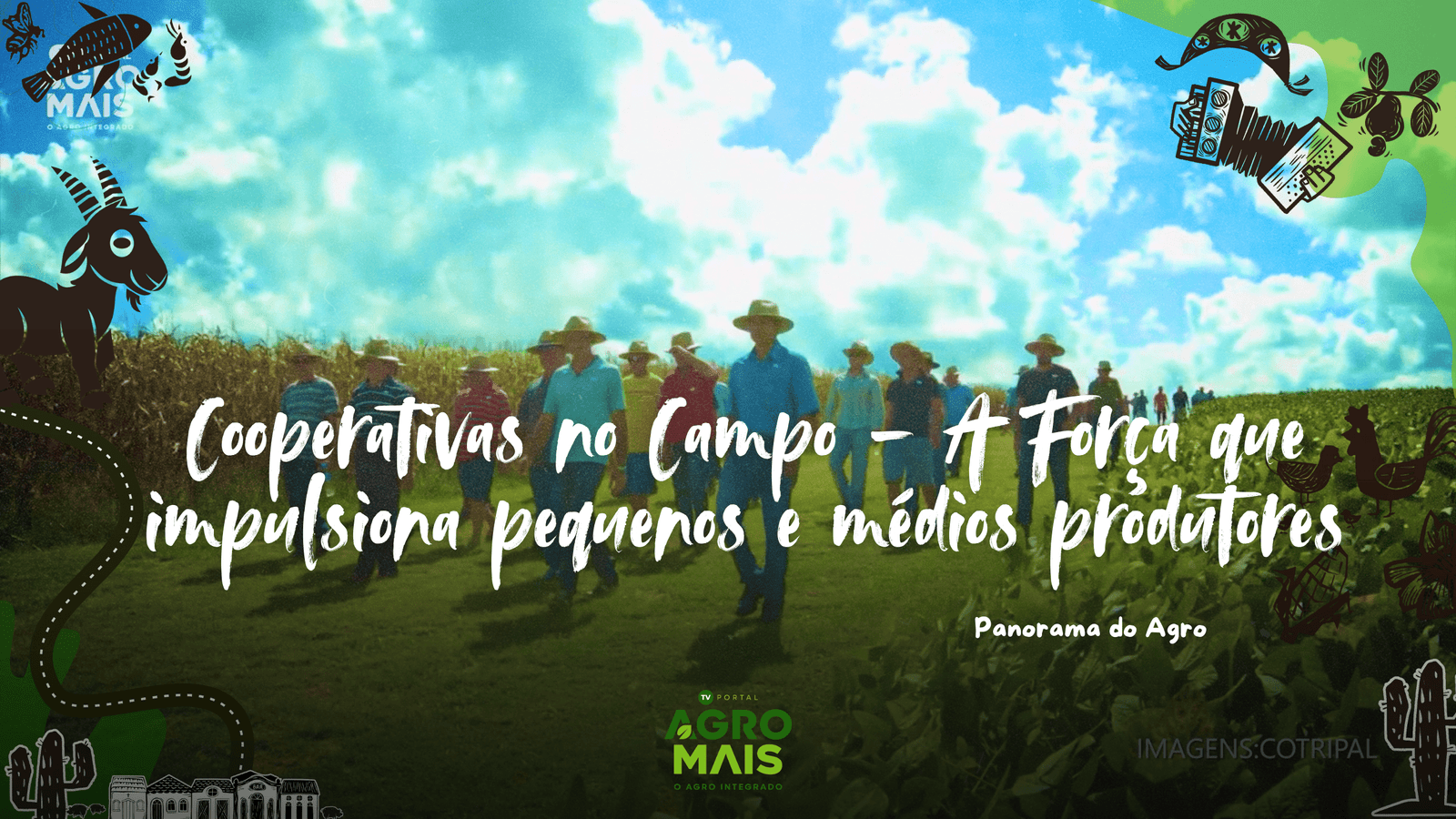 Cooperativas oferecem serviços, assistência técnica e compras compartilhadas para fortalecer pequenos produtores.