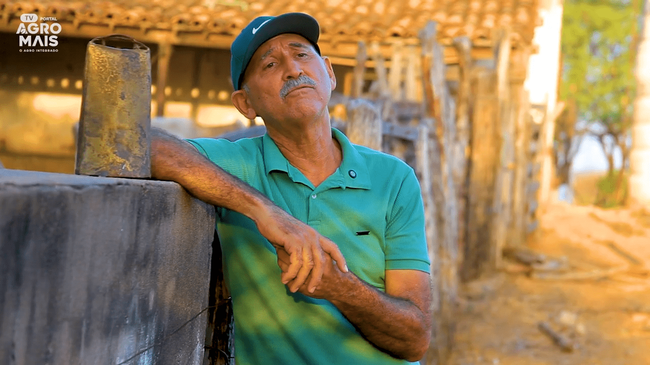 produtor cuidando de gado no sertão