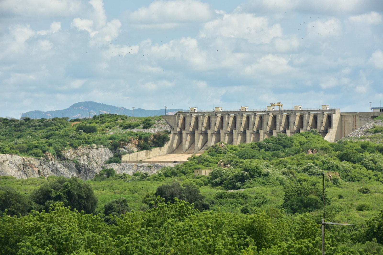 Paisagem do Vale do Jaguaribe, região produtiva apoiada pelo Sebrae Ceará.