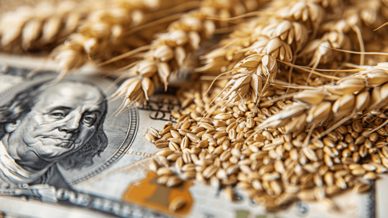  Oscilações do dólar futuro alteram a paridade de exportação e afetam preços agrícolas no Brasil.