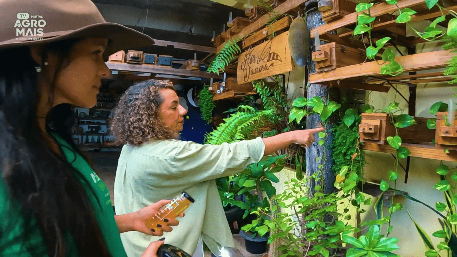 Novos frigoríficos brasileiros habilitados para exportação ao Vietnã